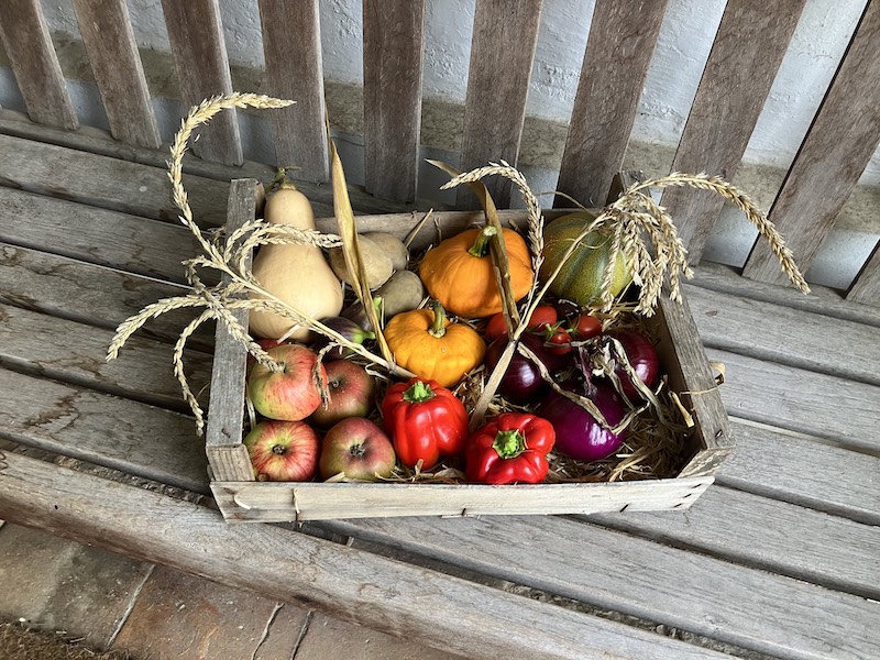 A basket of vegetables

Description automatically generated with low confidence